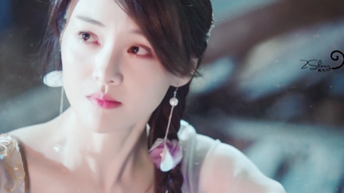 《郑爽的书》:傻菇凉,好想让所有人知道你的好!