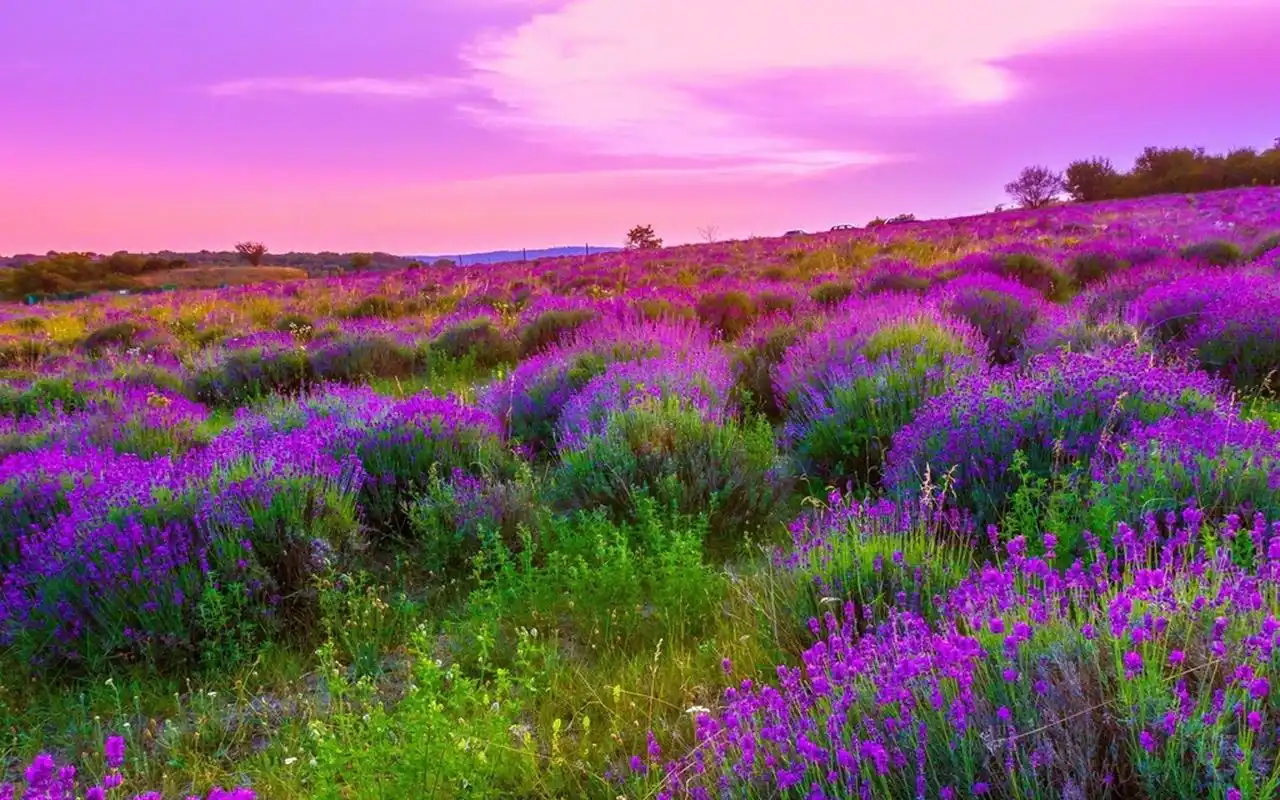 梦幻唯美自然风光图片高清壁纸