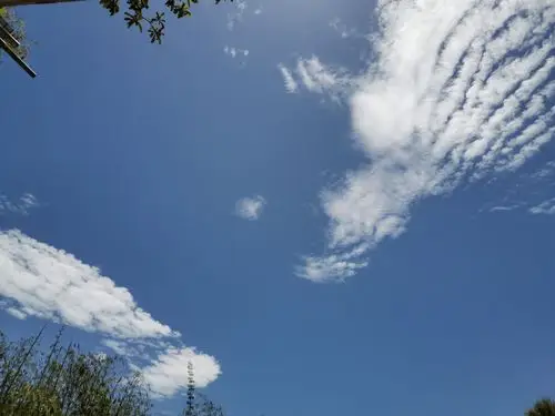 又是一个艳阳天