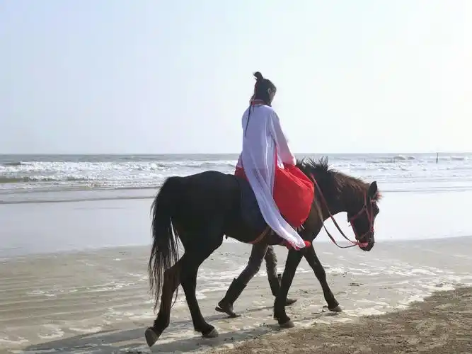 一生沉默且骄傲,孤独却洒脱,似芦苇般顽强不息,只绽放属于自己的.