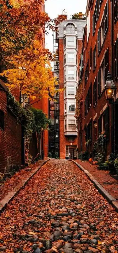 都市意境壁纸(唯美城市风壁纸)(1)