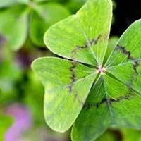 土命人适合的微信头像_微信头像图片大全