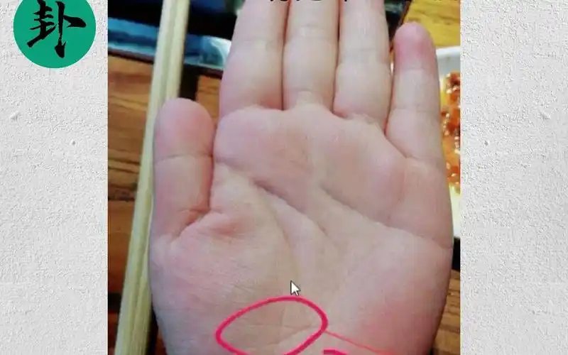 大富大贵坎鱼纹手相 双鱼纹出现在艮宫震宫文采出众