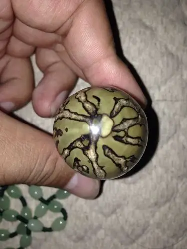 看看这个千眼菩提值多少钱,有两个芽眼,长7cm直径3.5cm以上.