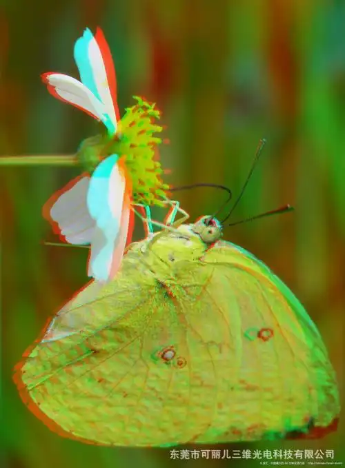 纸材红蓝颜色互补立体3d眼镜图片_5