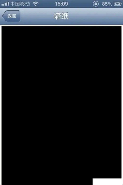iphone4壁纸全是黑色的