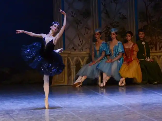 黑天鹅舞蹈专辑