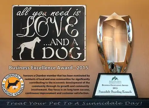 sunnidale boarding kennel - ontario dog & cat boarding serving