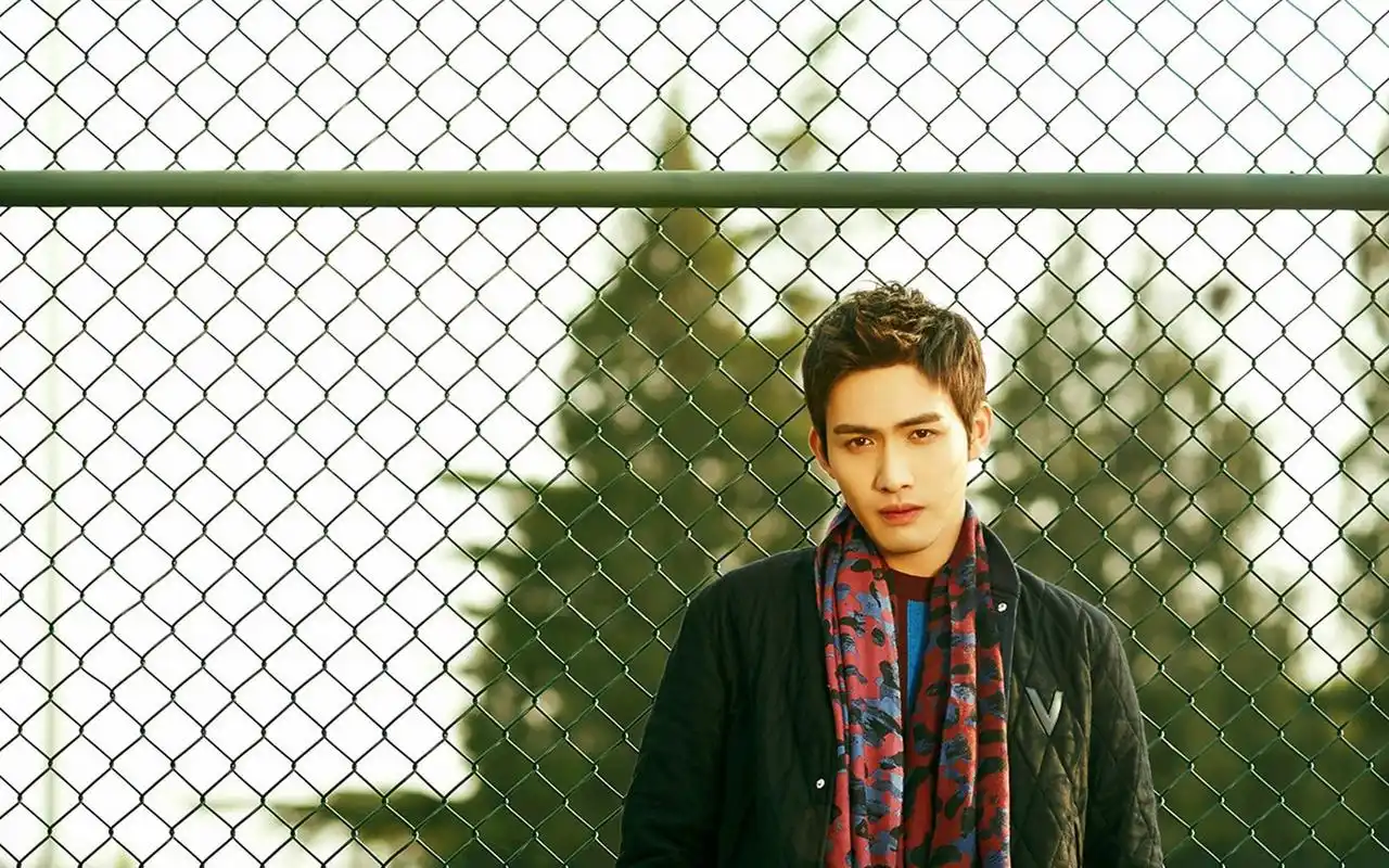 张彬彬帅气写真桌面壁纸高清大图预览1920x1200_大陆明星下载_美桌网