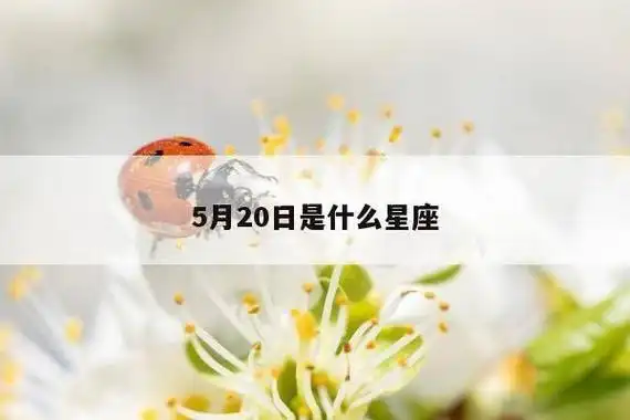 5月20日是什么星座