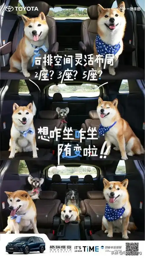 格瑞维亚强势来袭!