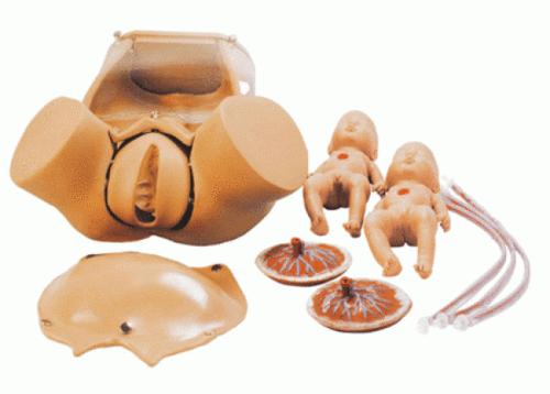 康谊牌高级分娩综合技能训练模型