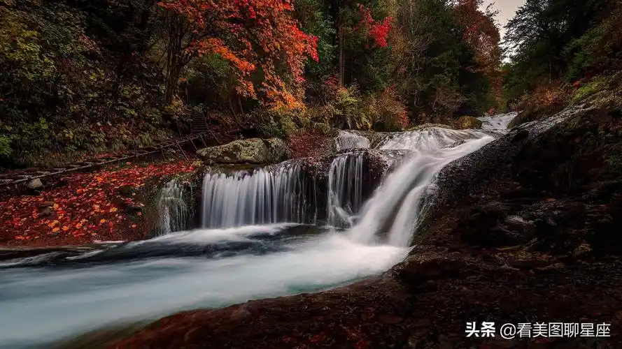 今天过后,运势如虹,会福旺财旺,惊喜连连的三大星座