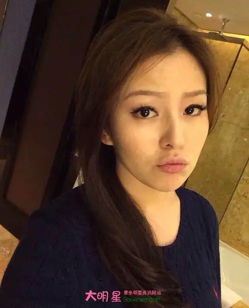 刘品言资料和照片 刘品言拍摄的电视剧(3)