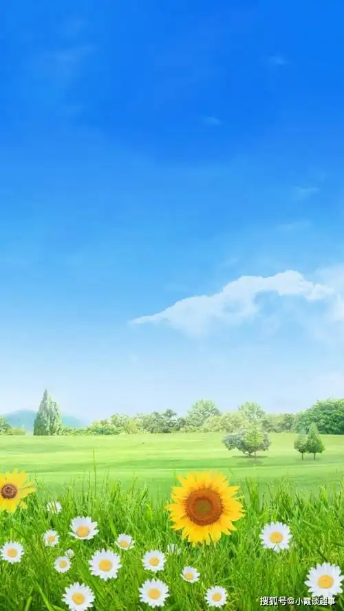 原创让人心情平静的哲理句子句句精辟温暖治愈