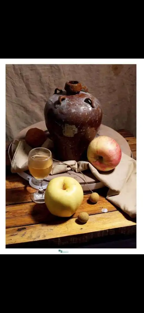 收集一些适合画彩铅的静物素材