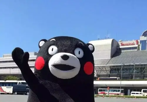 趣闻熊本熊我爸是斜杠青年我是社会熊