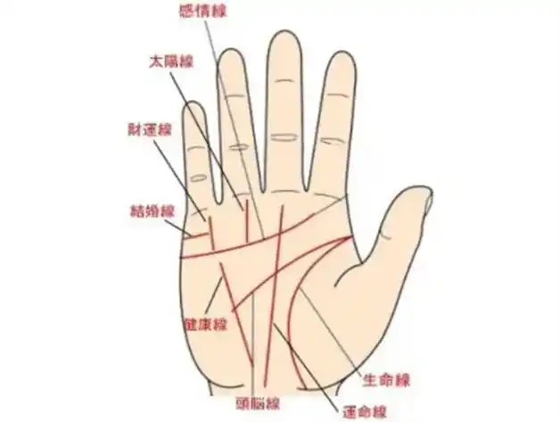 男人手相如何看财运好坏