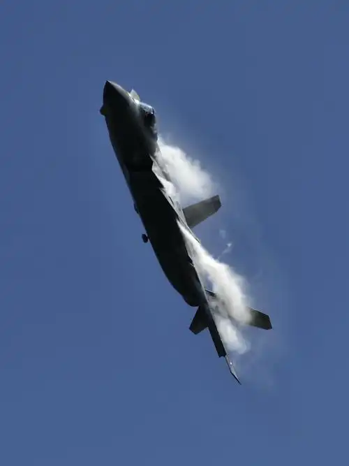 歼-20(2018珠海航展)