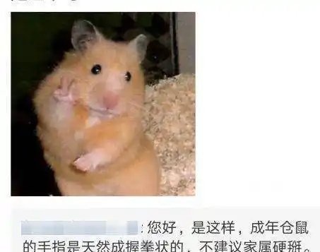 比如这位宠主家的仓鼠,这剪刀手非常的人性化了!