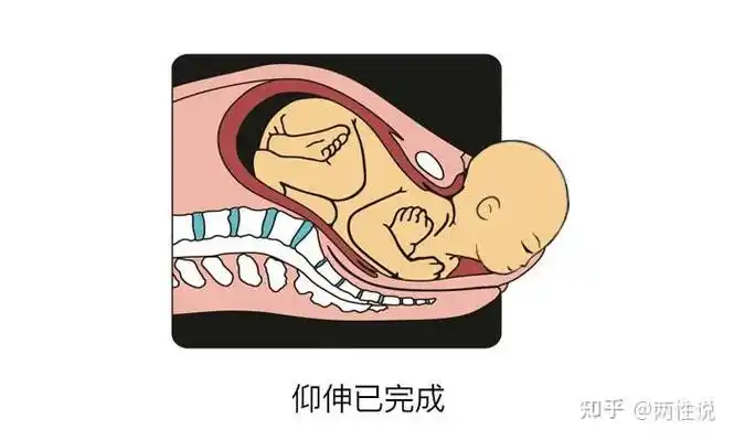 宝宝是怎么从那么窄的产道里出生的?图文揭秘分娩全过程